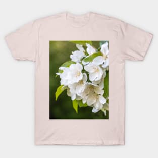 White Apple Blossoms Springtime T-Shirt